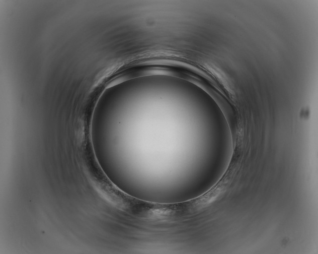 X0000093090158200709261236