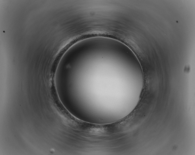 X0000093090160200709261236