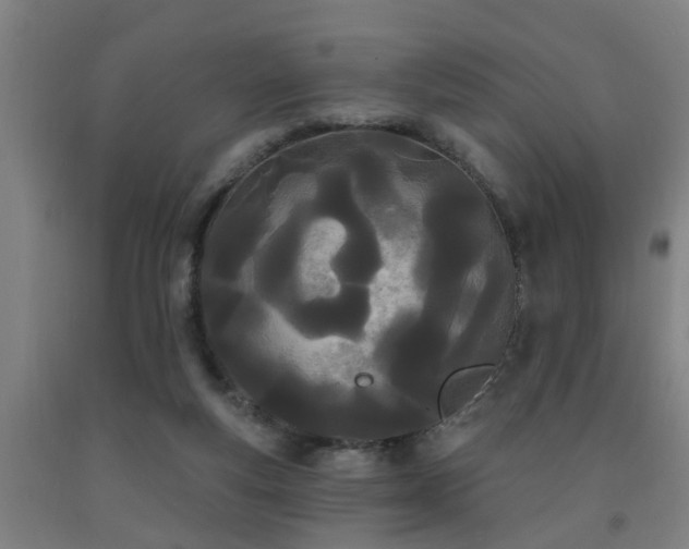 X0000093090163200709261236