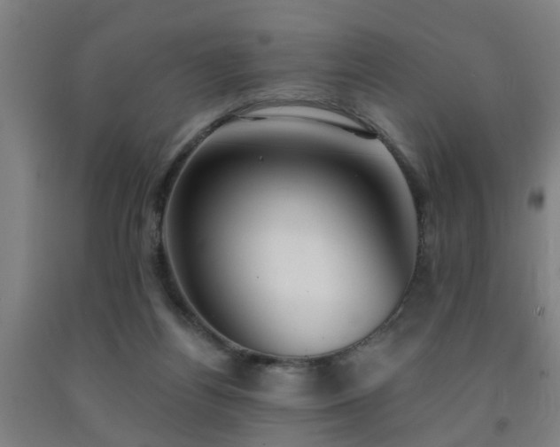 X0000093090164200709261236
