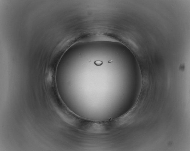 X0000093090166200709261236