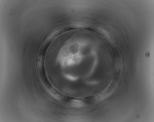 X0000093090167200709261236