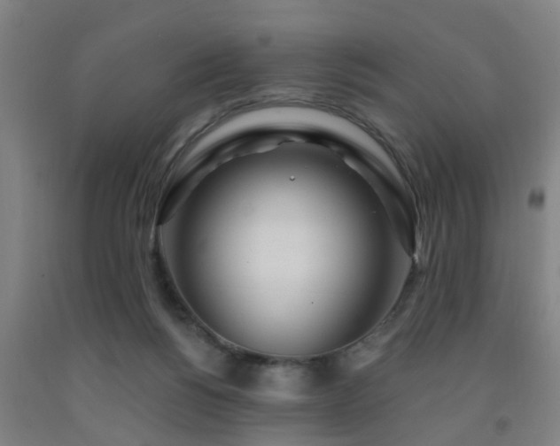 X0000093090168200709261236