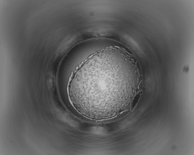 X0000093090169200709261236