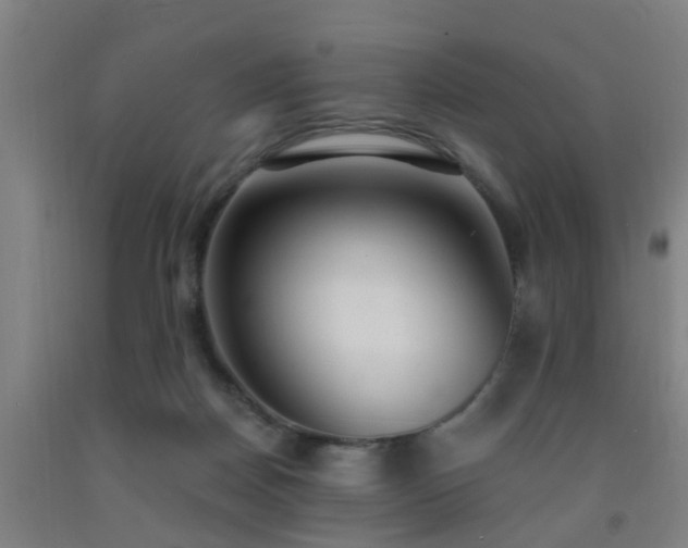 X0000093090170200709261236