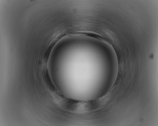 X0000093090172200709261236