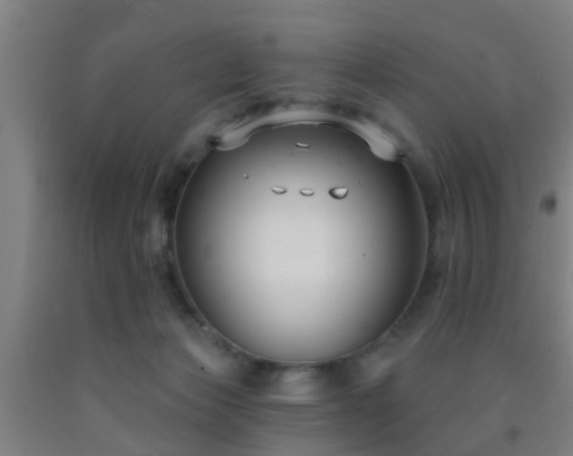 X0000093090173200709261236