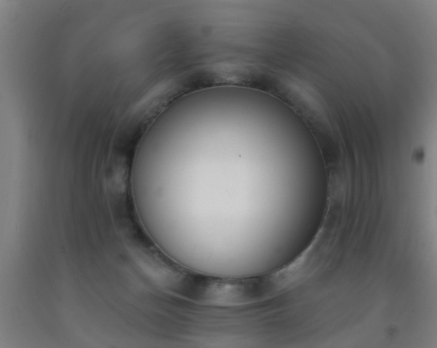 X0000093090174200709261236