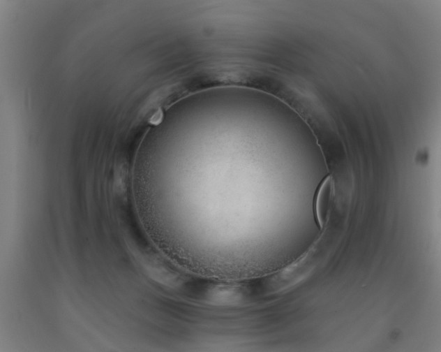 X0000093090175200709261236