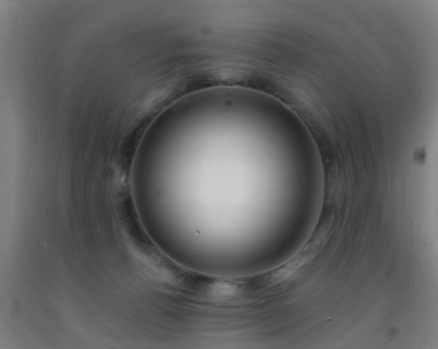 X0000093090176200709261236