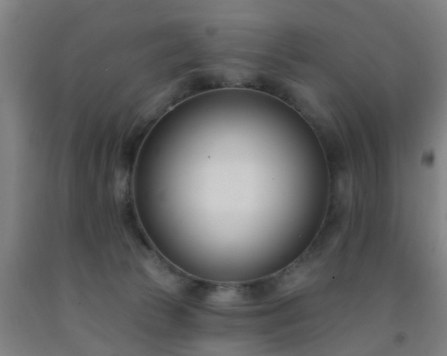X0000093090177200709261236