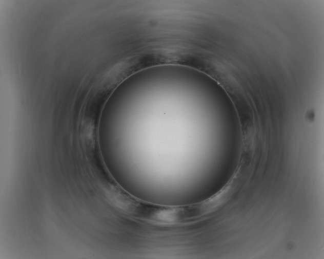 X0000093090178200709261236