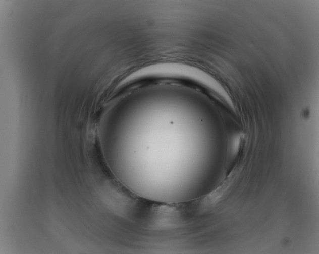 X0000093090180200709261236
