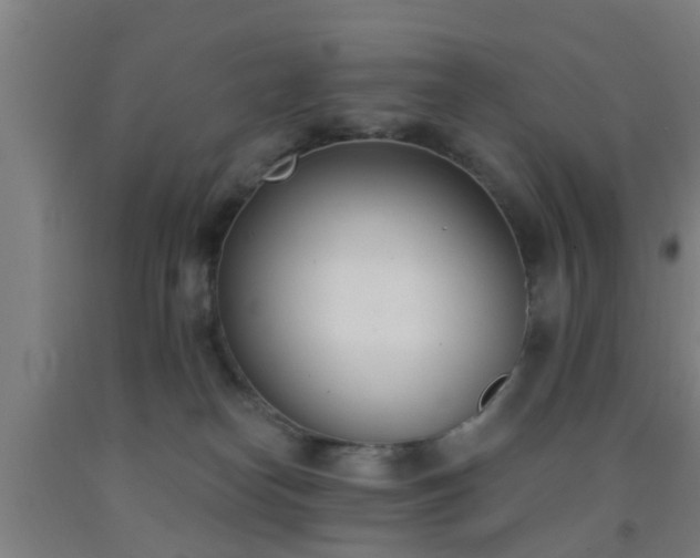 X0000093090182200709261236