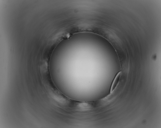 X0000093090183200709261236