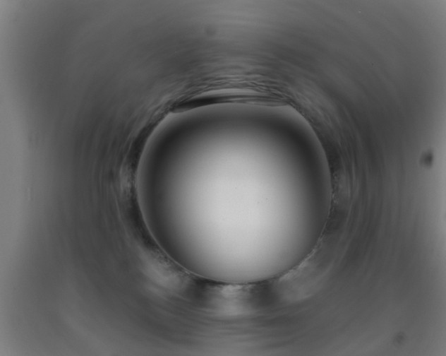 X0000093090184200709261236