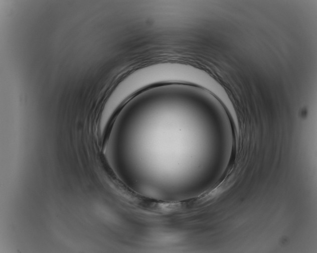 X0000093090188200709261236
