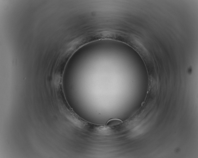 X0000093090189200709261236