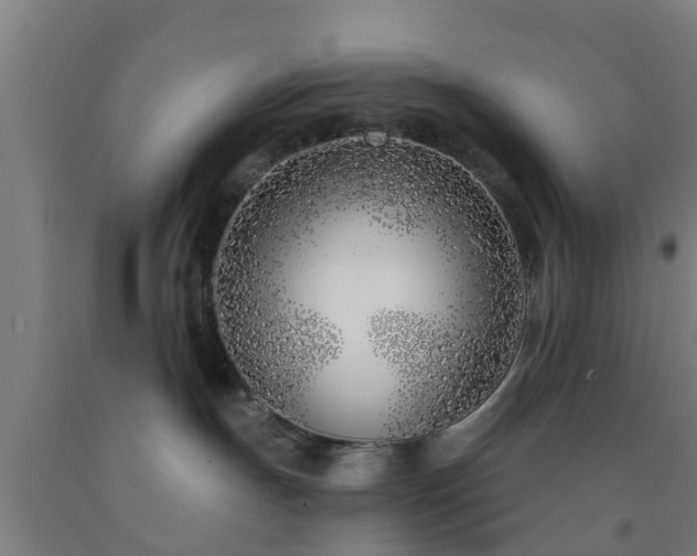 X0000093090191200709261236