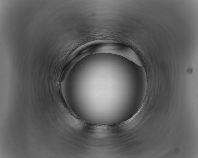 X0000093090192200709261236