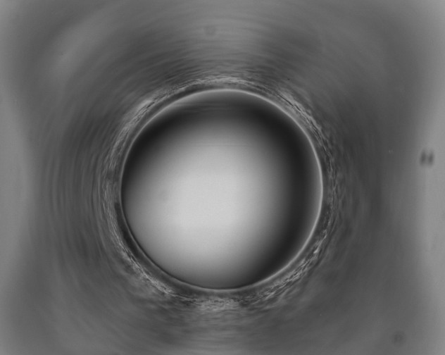 X0000093090193200709261236