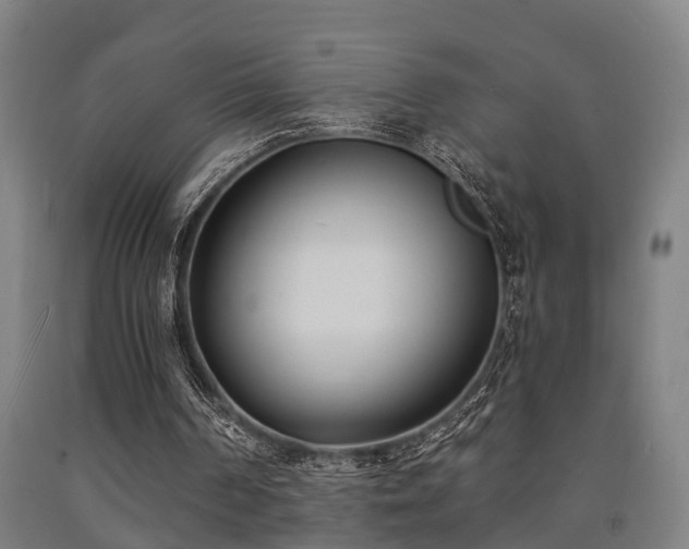X0000093090194200709261236