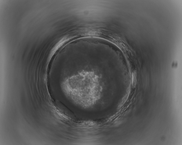 X0000093090195200709261236