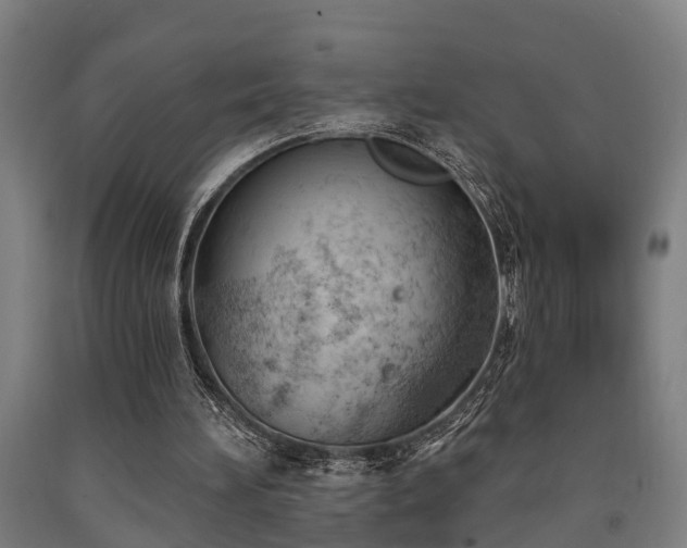 X0000093090196200709261236