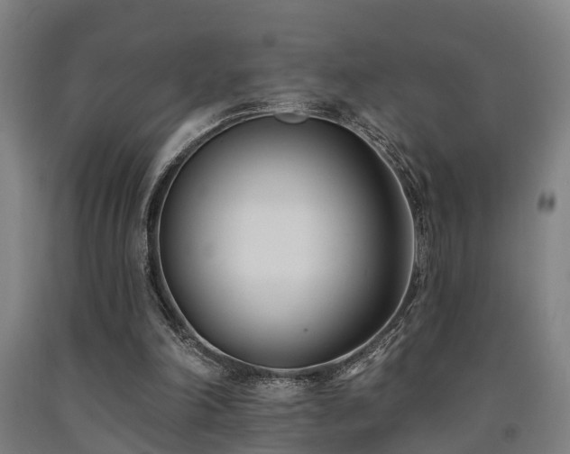 X0000093090198200709261236