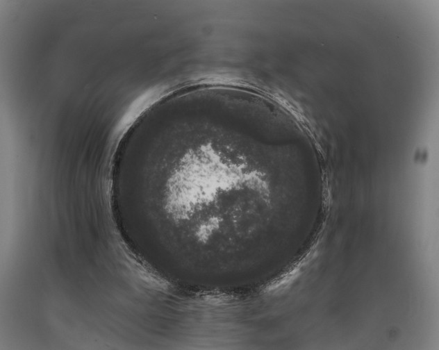 X0000093090199200709261236