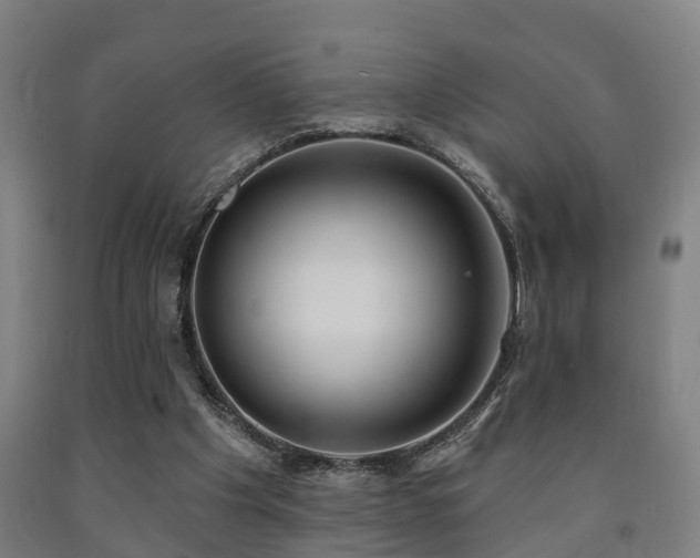 X0000093090201200709261236