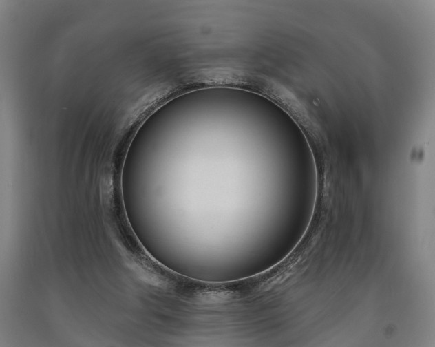 X0000093090202200709261236