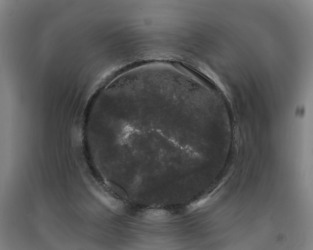 X0000093090203200709261236