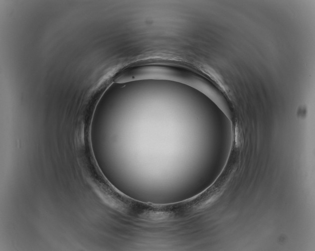 X0000093090205200709261236