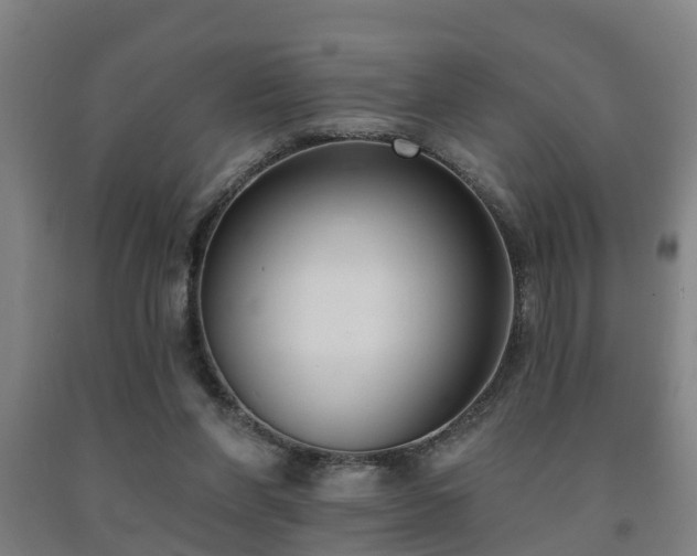 X0000093090206200709261236
