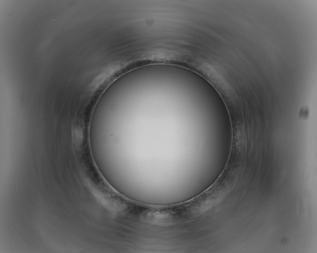 X0000093090208200709261236