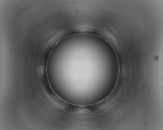 X0000093090210200709261235