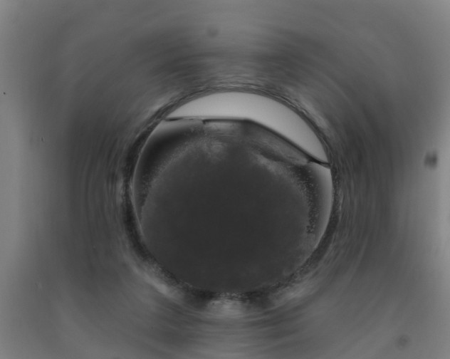 X0000093090211200709261235