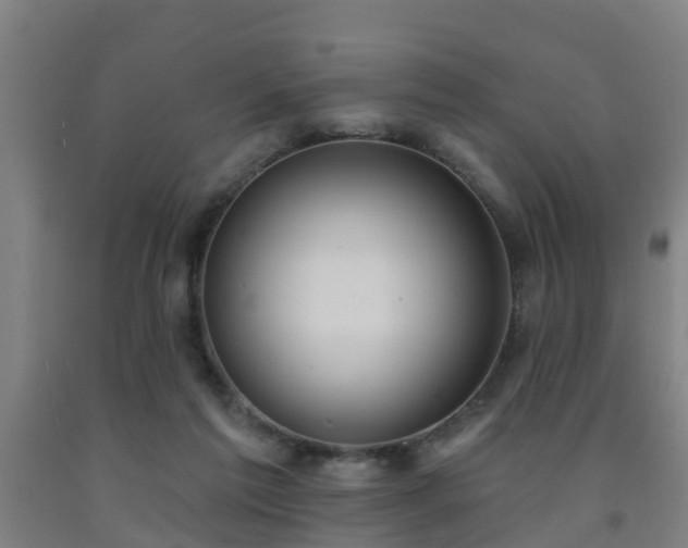 X0000093090213200709261235