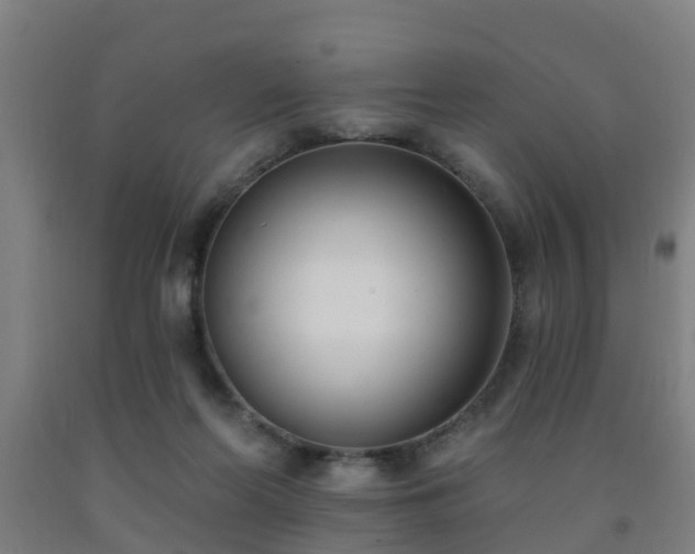 X0000093090214200709261235