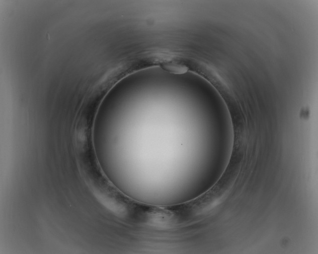 X0000093090215200709261235
