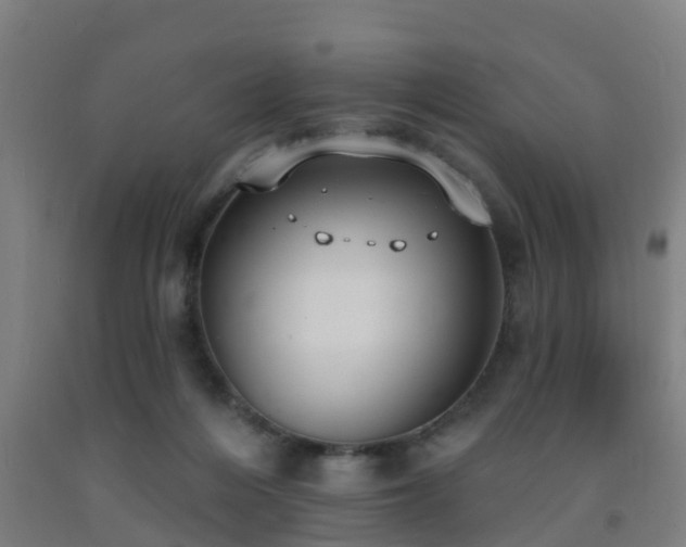 X0000093090216200709261235