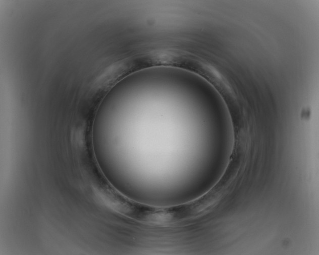 X0000093090217200709261235