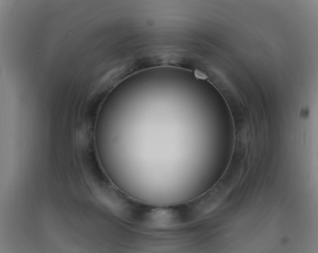 X0000093090218200709261235