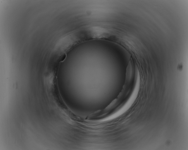 X0000093090219200709261235