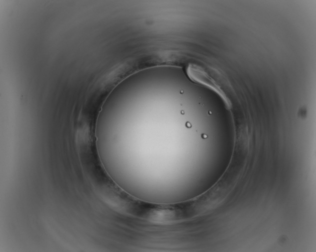 X0000093090220200709261235