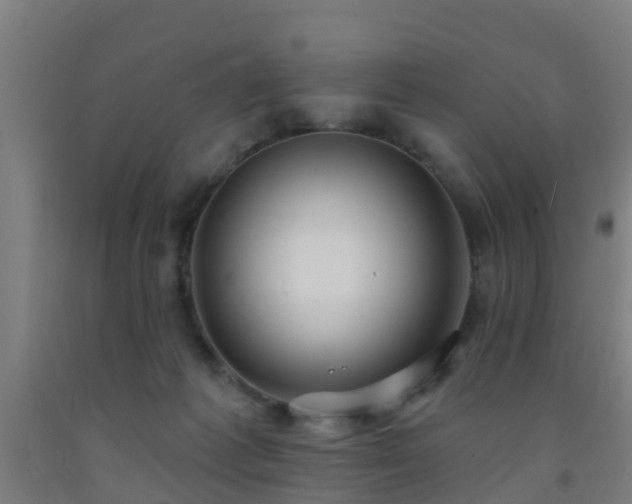 X0000093090221200709261235