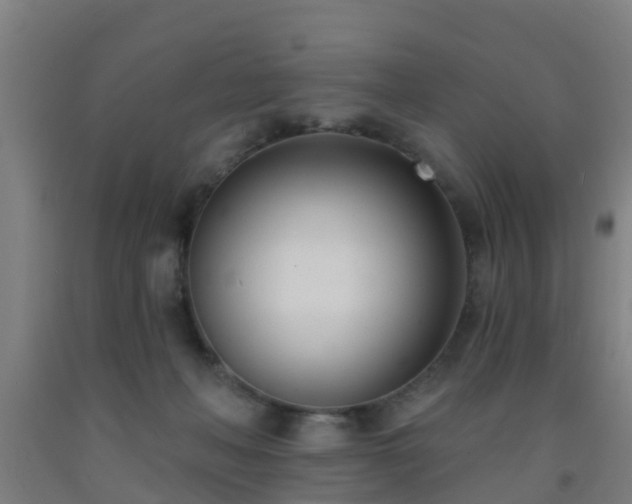 X0000093090222200709261235
