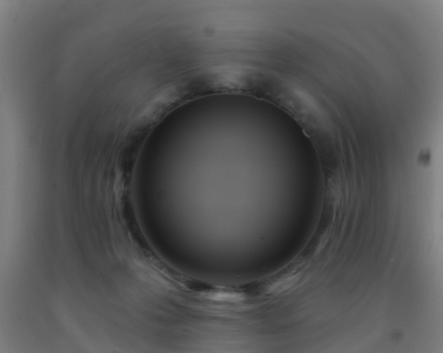 X0000093090223200709261235