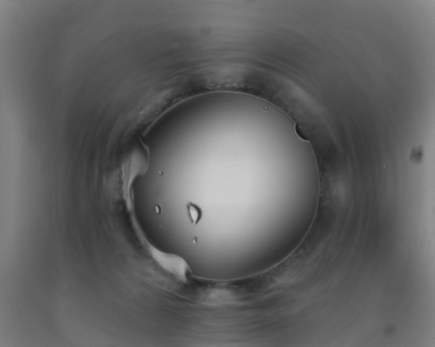 X0000093090224200709261235